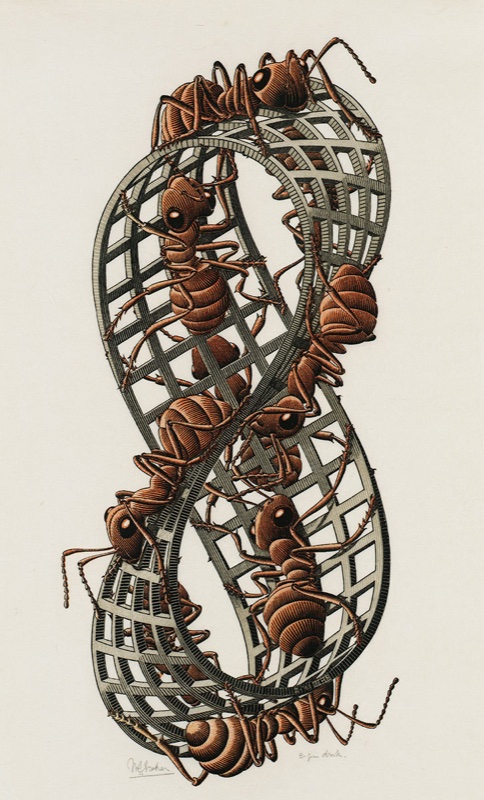 Escher's Möbius Strip II